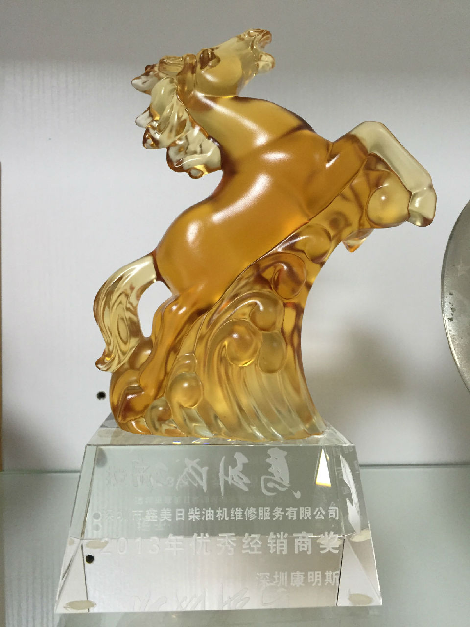 2013年年度優(yōu)秀經(jīng)銷商獎_c